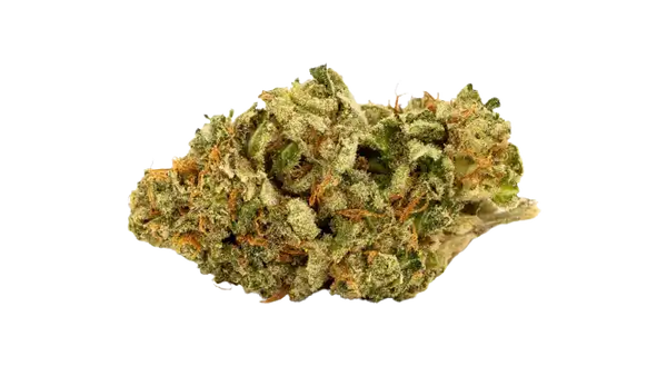 White Widow – Híbrida